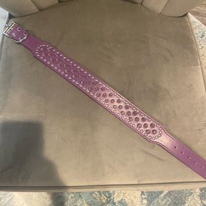 Leather Studded Dog Collar